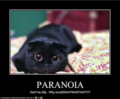 paranoia lol cat