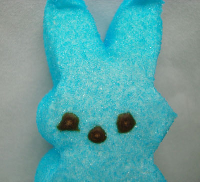 blue bunny marshmallow peep