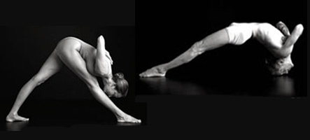 yoga poses yoga journal david martinez