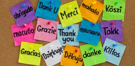 thank you in many languages cork board